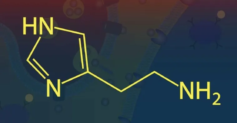 inflammation chronique, douleurs ... serait-ce en lien avec l'histamine ?, Châteaubourg, Julie Allemand