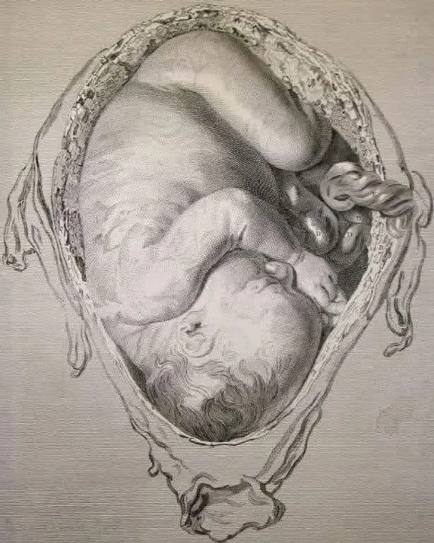 préparation à l'accouchement , Châteaubourg, Julie Allemand
