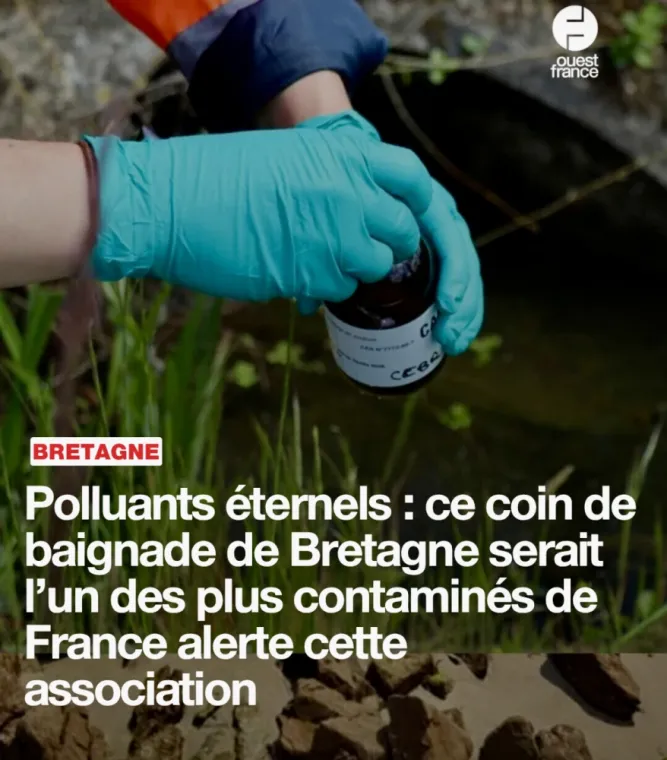 Etangs d'Apigné: DANGER présence de polluants éternels toxiques !, Châteaubourg, Julie Allemand