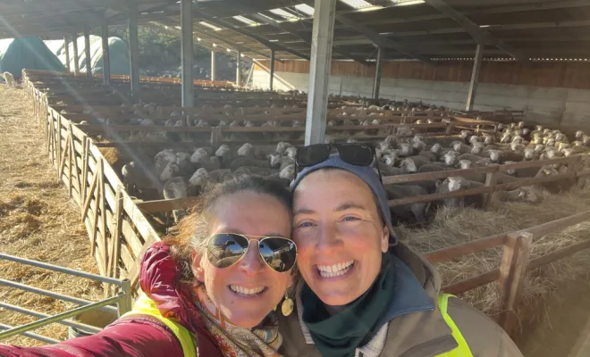 transhumance : allier les traditions à la modernité , Châteaubourg, Julie Allemand